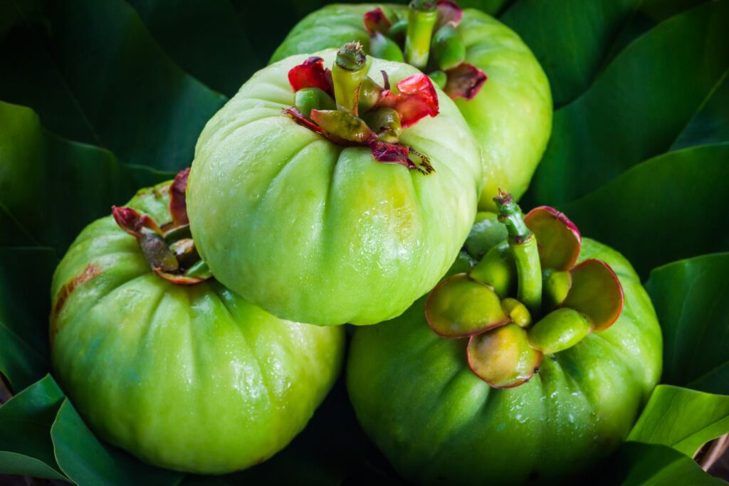 Garcinia Cambogia: účinky, hubnutí a vše, co byste měli vědět