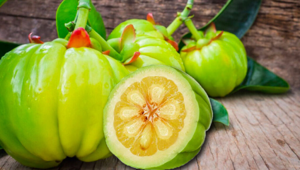 Garcinia: Co to je, jaké má účinky a může pomoci při hubnutí?