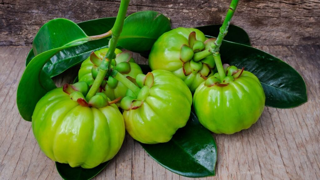 Garcinia Cambogia: účinky, hubnutí a vše, co byste měli vědět