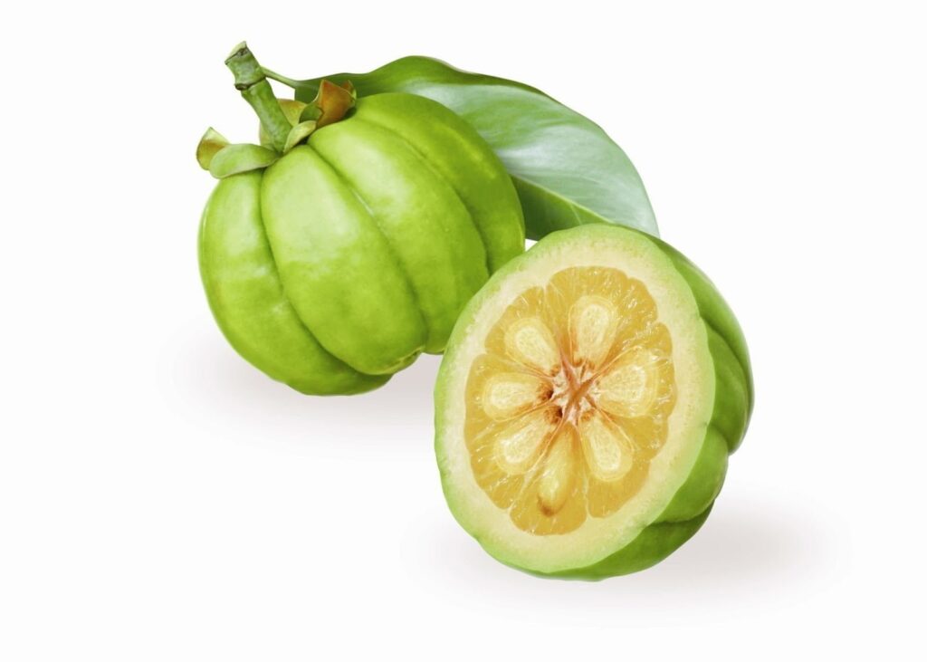 Garcinia Cambogia: účinky, hubnutí a vše, co byste měli vědět
