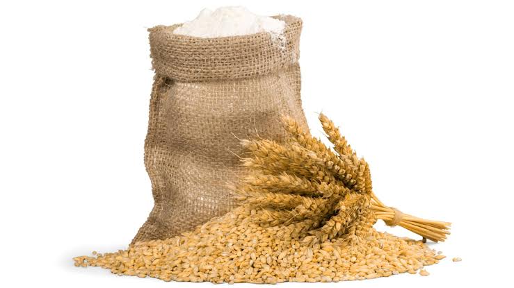 Psyllium: přírodní vláknina pro trávení a podporu hubnutí